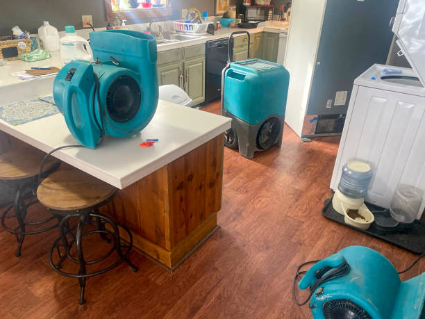 Best Local water damage restoration  in Chilton, WI