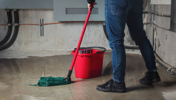 Best Water damage restoration near me  in Chilton, WI