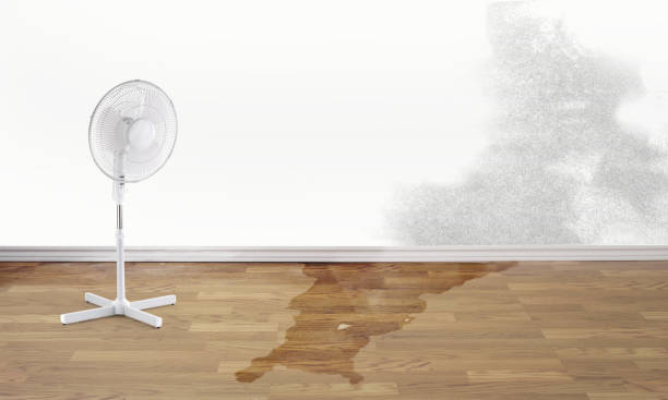 Best Flooded house restoration  in Chilton, WI