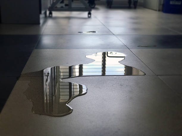Best 24/7 water damage repair  in Chilton, WI