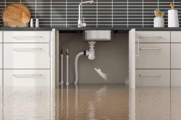 Best Water damage cleanup near me  in Chilton, WI