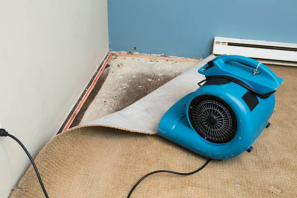 Best Water damage restoration near me  in Chilton, WI